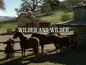 Title.wilderandwilder.jpg