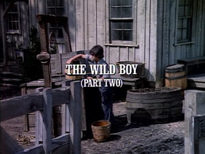 Title.thewildboy2.jpg