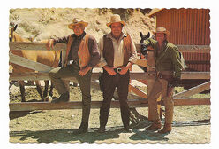 Bonanza!!