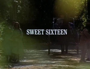 写真Little House On The Prairie Amazon.com: the Little House On The Prairie cast Photo Print (8 x