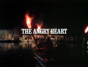 Title.theangryheart.jpg
