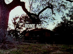 Title.homeagain2.jpg