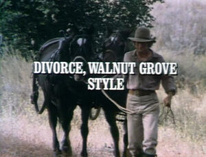 Title.divorcewalnutgrovestyle.jpg