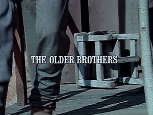 Title.theolderbrothers.jpg
