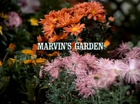 Title.marvinsgarden