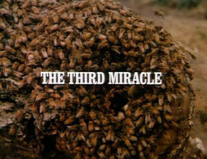 Title.thethirdmiracle.jpg