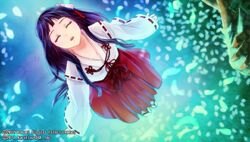 ⋆✴︎˚。⋆Sakura Princess⋆✴︎˚。⋆ Princess Sakura | Little King's Story Wiki | Fandom