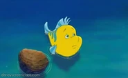 Young Flounder in "Return to the Sea"