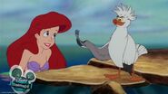 Littlemermaid-disneyscreencaps.com-943