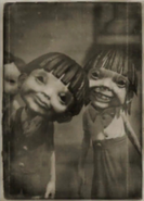 A close up picture of a group of Bullies.