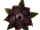 Хищные растения