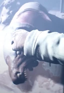 The creature being skinned.