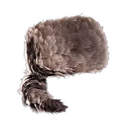 A cap based on or made of raccoon fur.