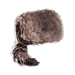 Coonskin cap