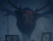 A moose's head hung in the Hunter's cabin.