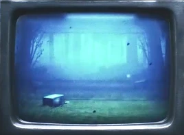 The Wilderness chapter