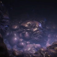 Стены из Плоти — хтоническое чудовище неизвестной природы, обладающее неизмеримой мощью и отметившее своим символом весь мир Кошмаров.