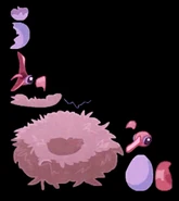 Model for the pigeon hatchling in the secret room.