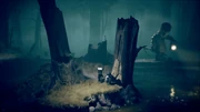 The Wilderness' swamp.
