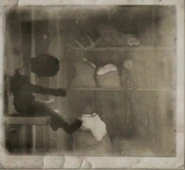 Taxidermy moose at top of photo.