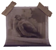 Photo of two pigeons.