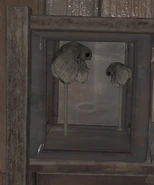 A moth diorama in the Vault of Curiosities.