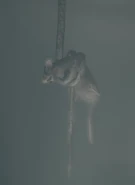 A rat strangled by a plant in the Institute.