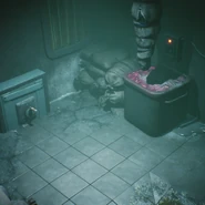 RoomCam MeatLocker.png (280 KB) Another unknown room.