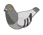 VLN Pigeon