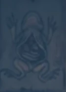 A diagram of a frog's dissected stomach.