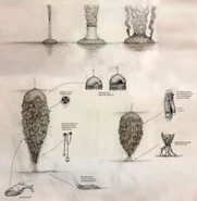 Whales seen in concept art for the Maw.