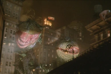 Don't Feed The Plants