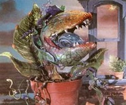 Concept model of Audrey II