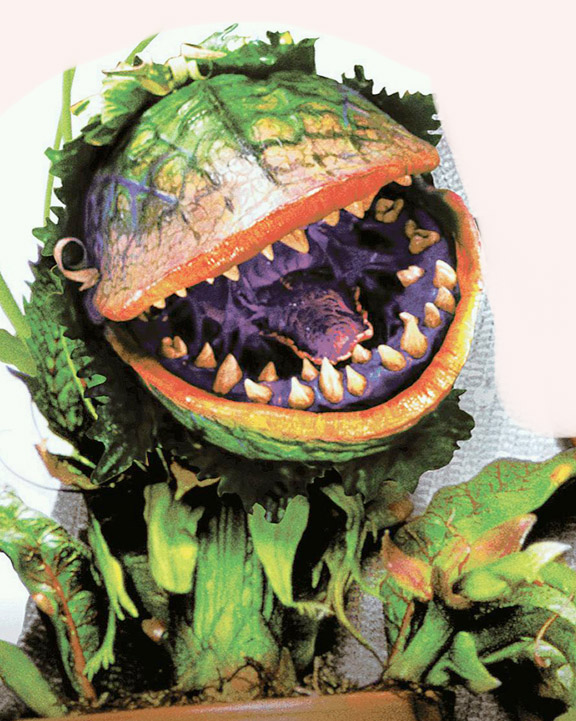 Audrey II Little Shop of Horrors Wiki | Fandom