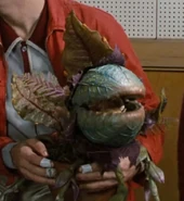 Audrey II's third phase
