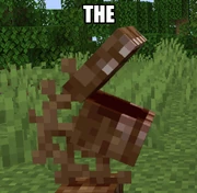 The