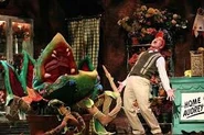Hunter Foster - Broadway 2003