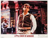 Little Shop of Horrors Lobby Card 07 Rick Moranis