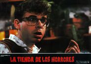 Little Shop of Horrors Spanish Lobby Card 04 Rick Moranis