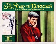 The Little Shop of Horrors Lobby Card 02 - Jonathan Haze