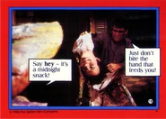 Lsohcards7.jpg (43 KB)