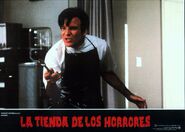 Little Shop of Horrors Spanish Lobby Card 06 Steve Martin