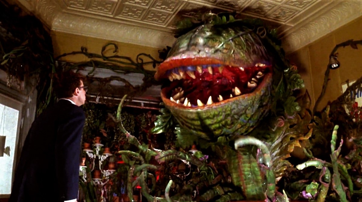 Mean Green Mother From Outer Space Little Shop Of Horrors Wiki Fandom