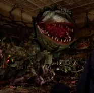 Audrey II's seventh phase