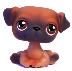 LPS Number 16, Littlest pet shop collector's Wiki