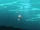 Sunken ship cameo during Red Team's search in a lake LWA 07.jpg