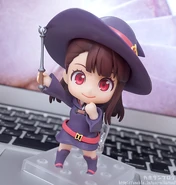 Standard Akko.