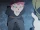 Andrew busts Louis conducting unfair trial against Akko and Amanda just as it escalates further LWA 17.gif