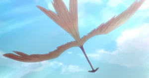 Shooting Star Broom