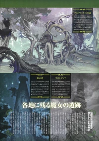 LWA Chronicle Page 10